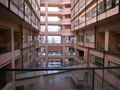 Tokyo University of Foreign Studies Interior